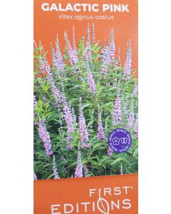 Vitex agnus-castus GALACTIC PINK® 'Bailtextwo' / Arbre au poivre à fleurs roses