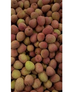 Litchi chinensis (De semis, origine Madagascar) / Litchi