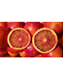 Citrus sinensis 'Sanguinea' greffé sur Poncirus trifoliata / Oranger sanguin